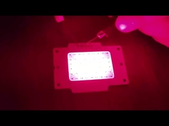 COB LED CHIP 15W LED COB para terapia luz LED